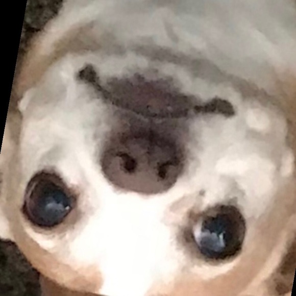 Meet your Posher, Claire - Picture 4 of 8